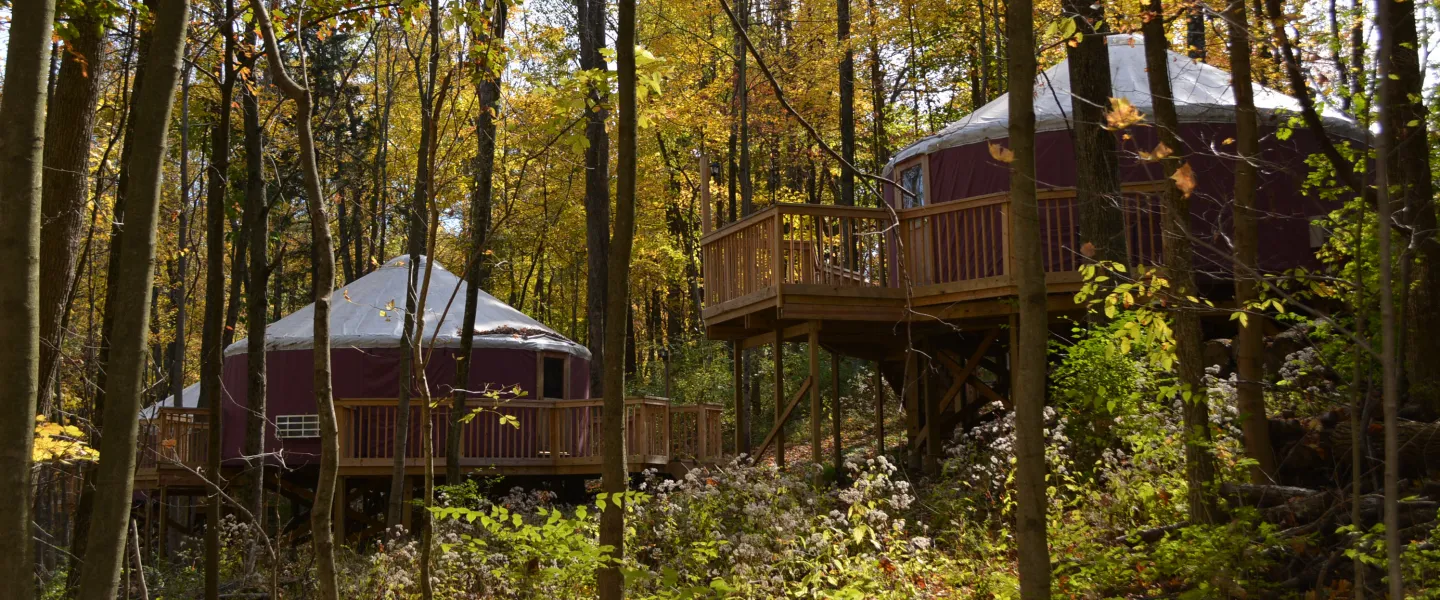 Outdoor yurts in the fall at Camp Kern