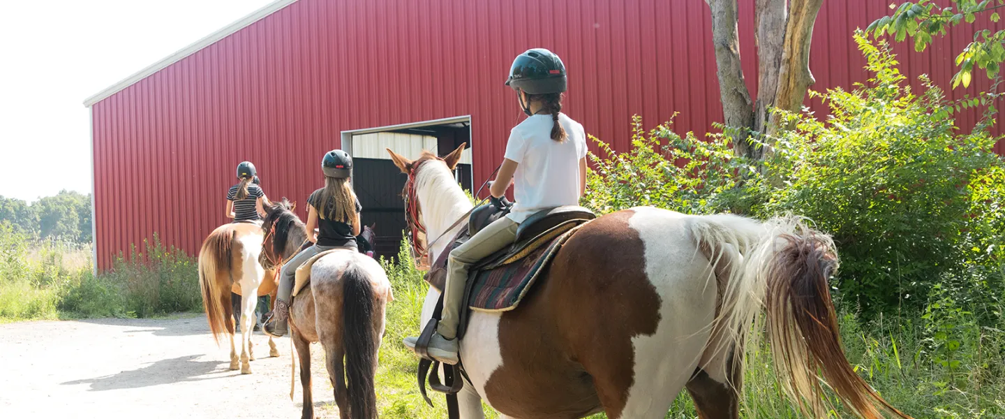 Going into the arena on horses