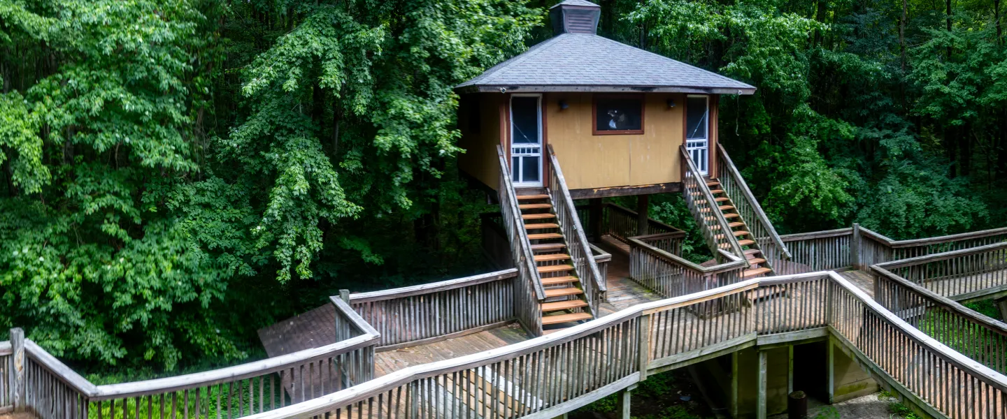 treehouse structure at Camp Kern